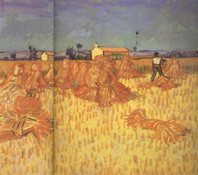 Vincent Van Gogh Harvest in Provence (nn04) oil painting picture